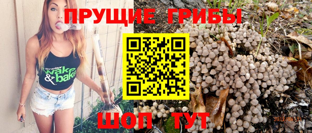 Псилоцибиновые грибы GOLDEN TEACHER Нижний Новгород